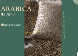 Screenshot_20251024_095728