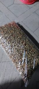 Screenshot_20251024_103028