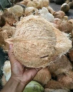 WhatsApp Image 2025-10-14 at 17.52.40