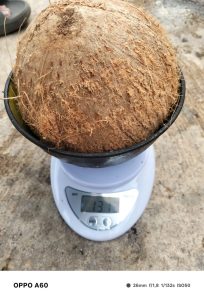 WhatsApp Image 2025-10-14 at 17.53.08 (1)