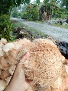 WhatsApp Image 2025-10-14 at 17.53.08