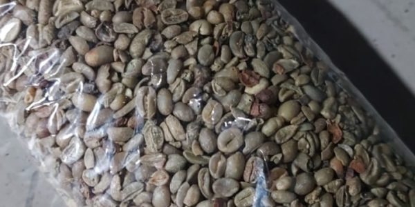 Screenshot_20251024_103028